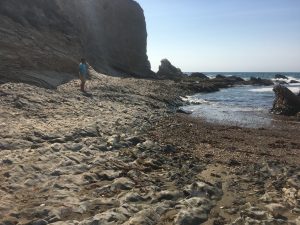 IMG_0231